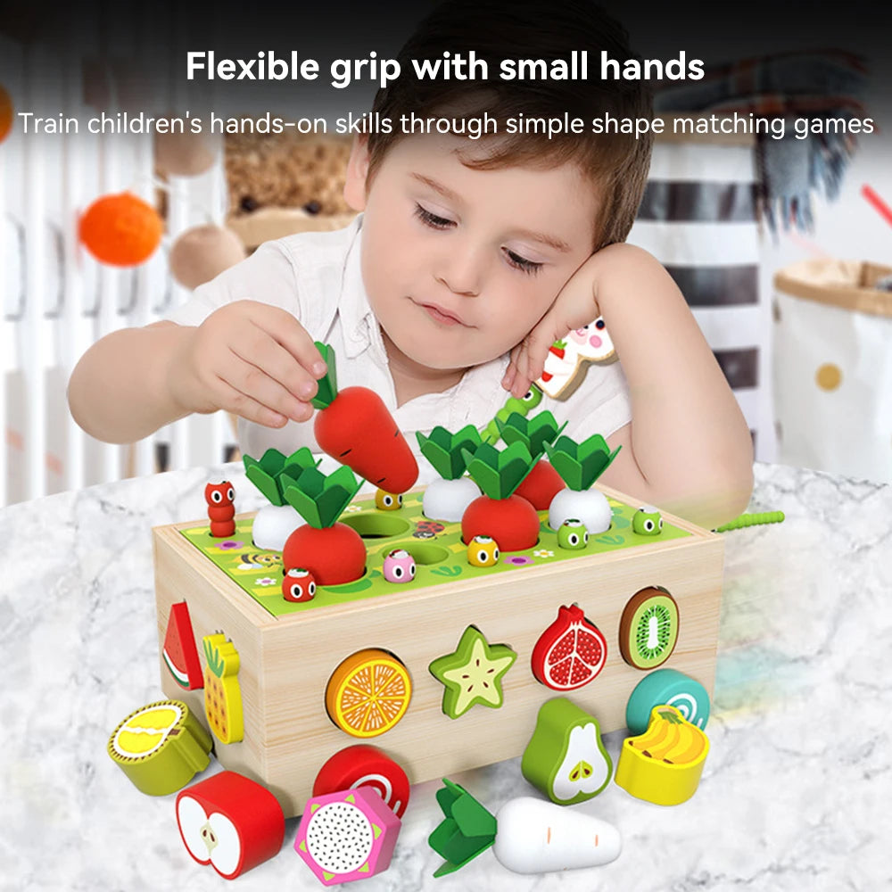 Wooden Sorting Matching Toy for Kid Toddler 1-3 Year Old  Color Shape Learning Game Montessori Educational Toys