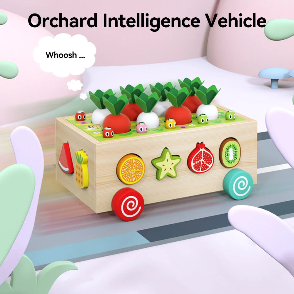 Wooden Sorting Matching Toy for Kid Toddler 1-3 Year Old  Color Shape Learning Game Montessori Educational Toys