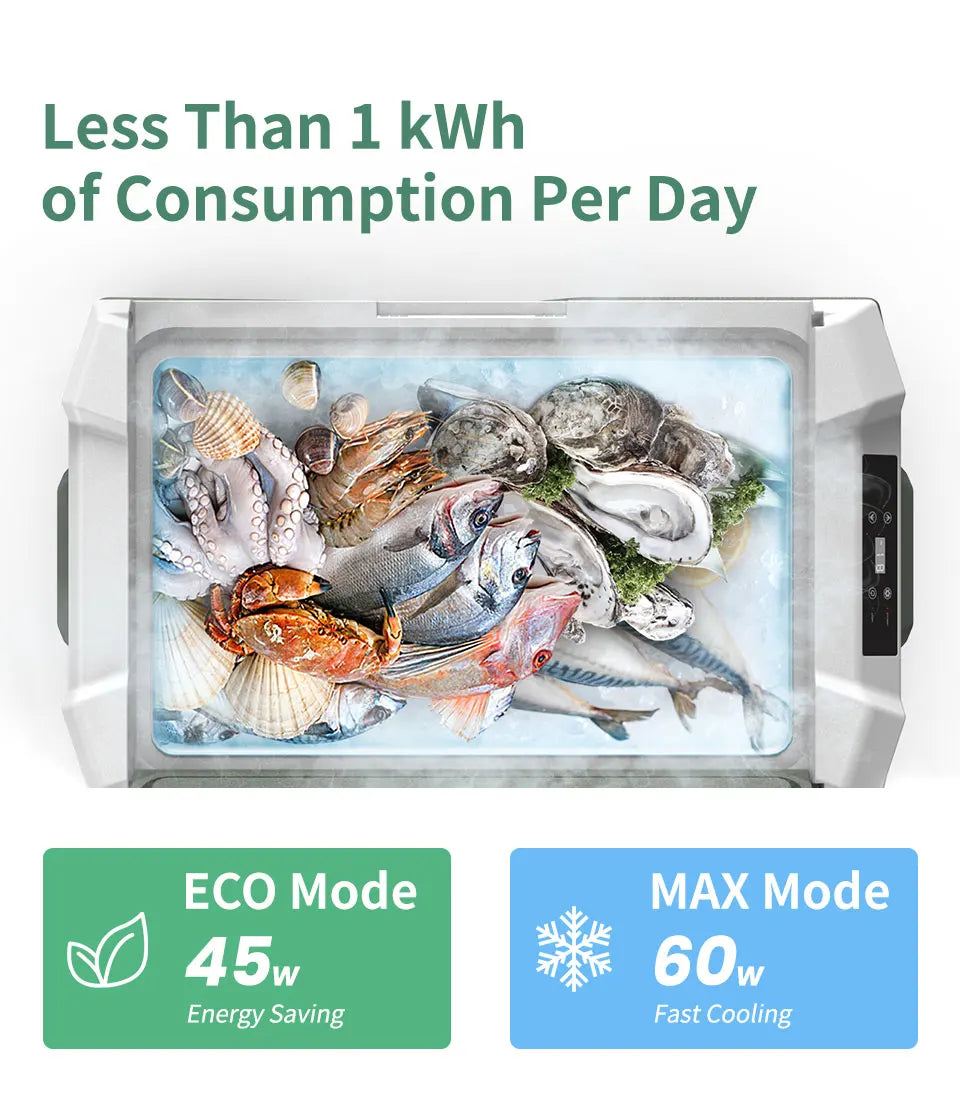 Alpicool NL 25L 35L 45L Car Refrigerator 12V Compressor Fridge Freezer