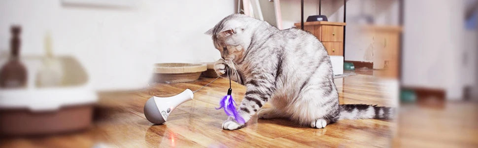 DOEL Cat Interactive Toys Funny Feather Kitten Teaser Indoor Play Automatic Toy Gift Cat Feather Toy