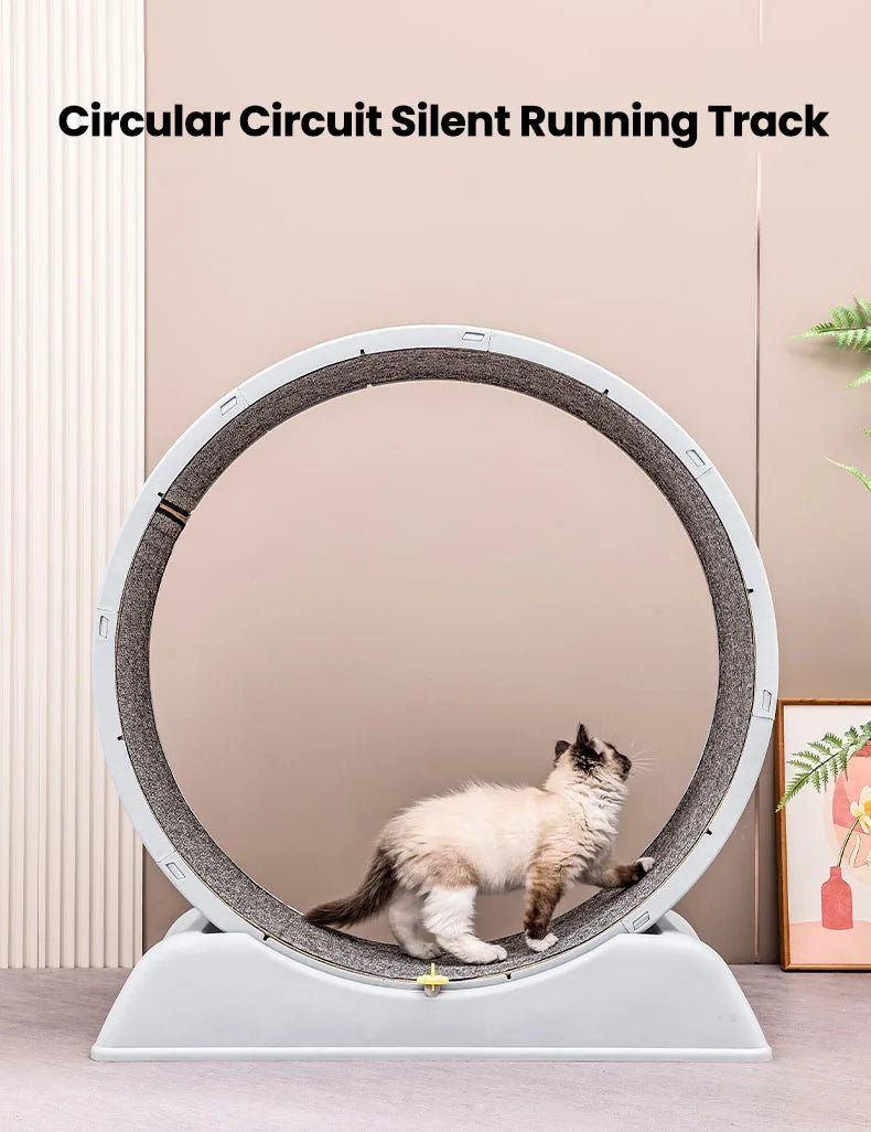 Cat Running Exercise Wheel Treadmill, Ultra-Quiet Safety Cat Training Toy with and Locking Mechanism,Removable Carpeted Runway