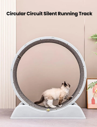 Cat Running Exercise Wheel Treadmill, Ultra-Quiet Safety Cat Training Toy with and Locking Mechanism,Removable Carpeted Runway